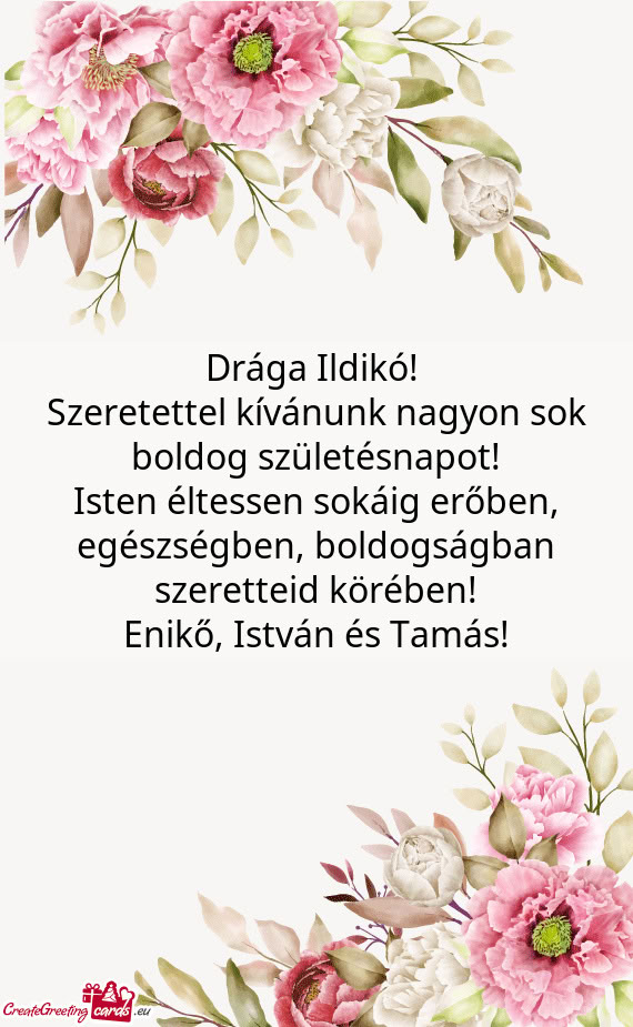 Drága Ildikó